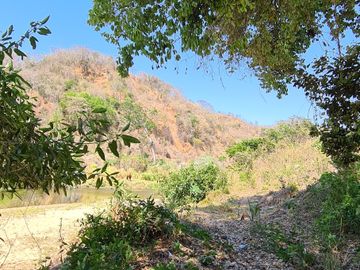 VENDO TERRENO IDEAL PARA RANCHO DE CRIA DE GANADO O CULTIVO COLINDANTE CON RIO