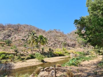 VENDO TERRENO IDEAL PARA RANCHO DE CRIA DE GANADO O CULTIVO COLINDANTE CON RIO