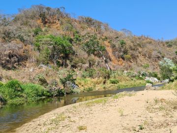 VENDO TERRENO IDEAL PARA RANCHO DE CRIA DE GANADO O CULTIVO COLINDANTE CON RIO