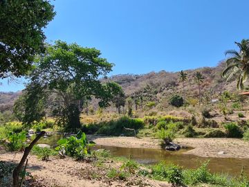 VENDO TERRENO IDEAL PARA RANCHO DE CRIA DE GANADO O CULTIVO COLINDANTE CON RIO
