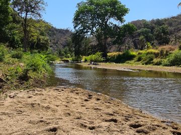 VENDO TERRENO IDEAL PARA RANCHO DE CRIA DE GANADO O CULTIVO COLINDANTE CON RIO