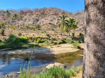 VENDO TERRENO IDEAL PARA RANCHO DE CRIA DE GANADO O CULTIVO COLINDANTE CON RIO
