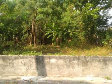Tanah pekarangan strategis di Kota yogya