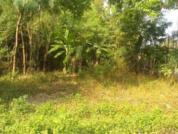 Tanah pekarangan strategis di Kota yogya