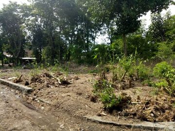 Dijual Tanah Murah di Jogja 1,6 Jt/meter dekat Balai Desa Selomartani