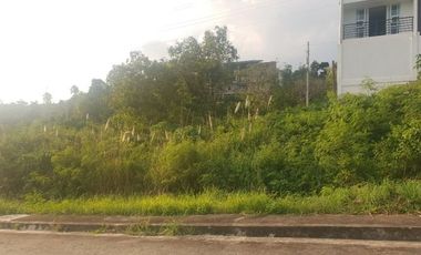 150 Sqm Overlooking Lot for Sale in Vista Grande Talisay Cebu City with Seaview