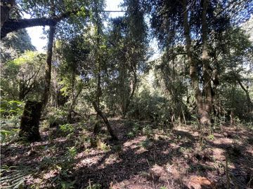 TERRENO EN VENTA || VALLE DE BRAVO || MESA RICA