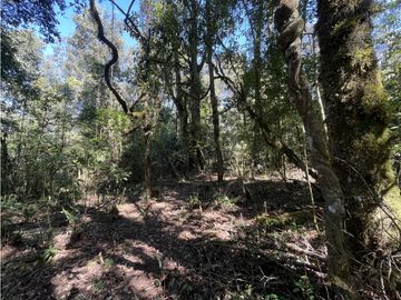 TERRENO EN VENTA || VALLE DE BRAVO || MESA RICA
