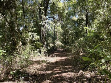 TERRENO EN VENTA || VALLE DE BRAVO || MESA RICA