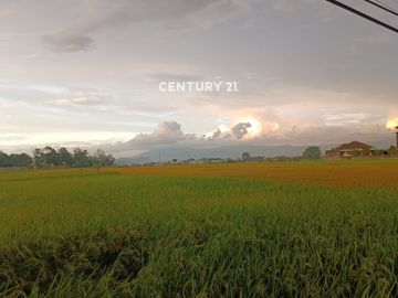 Dijual Tanah Luas Pinggir Jalan Strategis Kopo Soreang Bandung