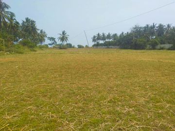 Dijual Cepat Tanah Panimbang Banten 1,5 Ha Pinggir Jln Utama