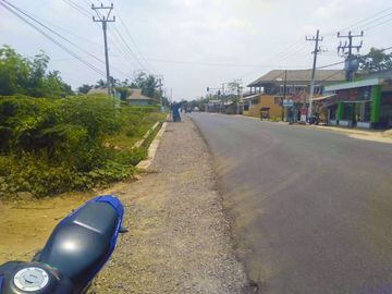 Dijual Cepat Tanah Panimbang Banten 1,5 Ha Pinggir Jln Utama