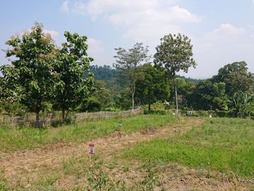 DIJUAL DI MALANG TANAH KAVLING MURAH AKSES MUDAH LOKASI STRATEGIS LEGALITAS SHM