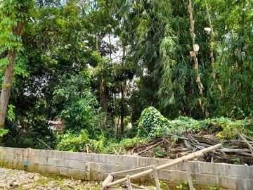 Rumah Proses Bangun Lingkungan Sejuk di Margorejo Tempel