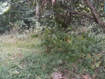 tanah di subang cocok untuk perumahan atau resort