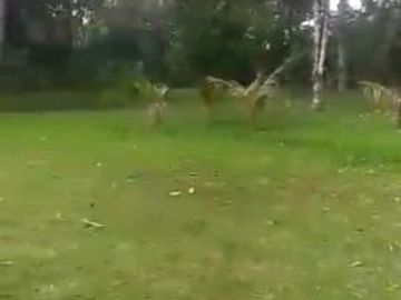 tanah di subang cocok untuk perumahan atau resort