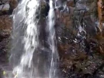 tanah di subang cocok untuk perumahan atau resort