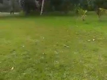 tanah di subang cocok untuk perumahan atau resort