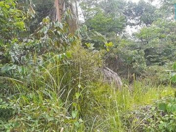 tanah di subang cocok untuk perumahan atau resort