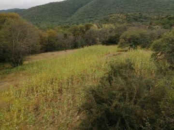370 Hectáreas de Rancho con Casco de Hacienda (Negociable) SLP