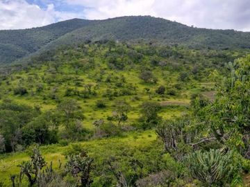 370 Hectáreas de Rancho con Casco de Hacienda (Negociable) SLP