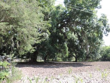 370 Hectáreas de Rancho con Casco de Hacienda (Negociable) SLP