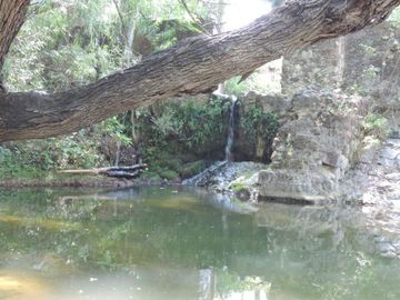 370 Hectáreas de Rancho con Casco de Hacienda (Negociable) SLP