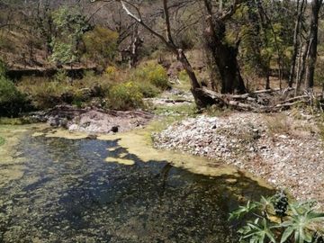 370 Hectáreas de Rancho con Casco de Hacienda (Negociable) SLP