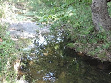 370 Hectáreas de Rancho con Casco de Hacienda (Negociable) SLP