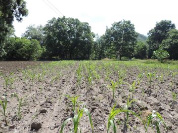 370 Hectáreas de Rancho con Casco de Hacienda (Negociable) SLP