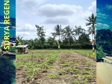 Tanah kavling ngajum surya regency