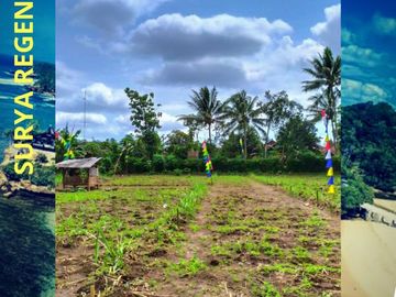 Tanah kavling ngajum surya regency