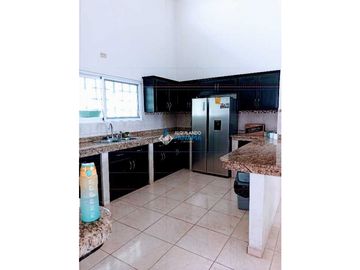 Alquilo o vendo amplia casa en Coquitos Hill, David. Cerca a la ciudad