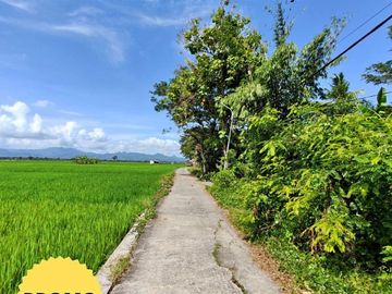 Tanah Kavling SHM, 8 Menit Pasar Jenar Purworejo