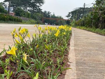 Rumah Lokasi Strategis di Lippo Village Utara Cendana Parc