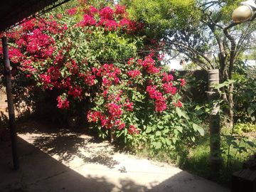 Casa - Las Talitas