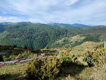 Campo en venta ya Loteado