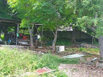 [B33119] Land for sale 5000m2 Kupang East Nusa Tenggara