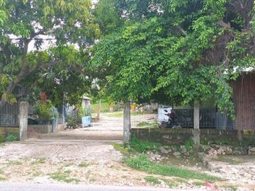 [B33119] Land for sale 5000m2 Kupang East Nusa Tenggara