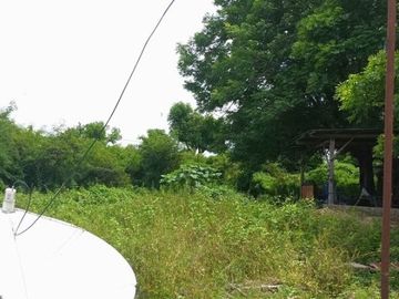 [B33119] Land for sale 5000m2 Kupang East Nusa Tenggara