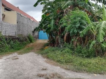 Land for sale near the center of Denpasar, Bali