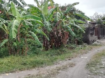 Land for sale near the center of Denpasar, Bali