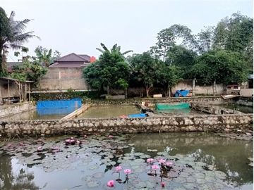 Di jual rumah dengan usaha tambak ikan murah di Depok