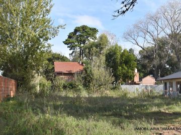 LOTE EN EL MONTE CON PASO DE GAS Y CLOACAS