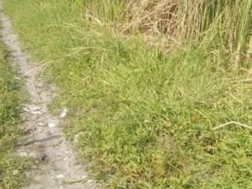 DIJUAL TANAH KAVLING MURAH SUMBER REJO PAKAL SURABAYA BARAT