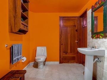venta de quinta  con plantaciòn de cafe en briones  municipio de coatepec