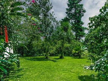 venta de quinta  con plantaciòn de cafe en briones  municipio de coatepec