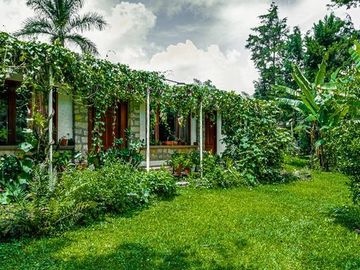 venta de quinta  con plantaciòn de cafe en briones  municipio de coatepec