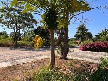 VENTA TERRENO CEIBA