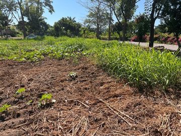 VENTA TERRENO CEIBA